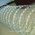 Concertina razor barbed wire/professional factory